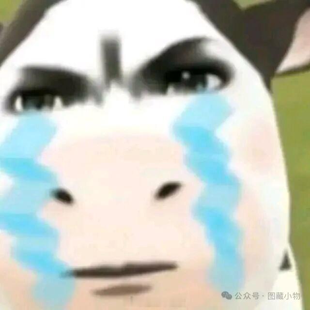 姐妹们可以和俺贴贴一下吗？老铁掉太多了 ​​​