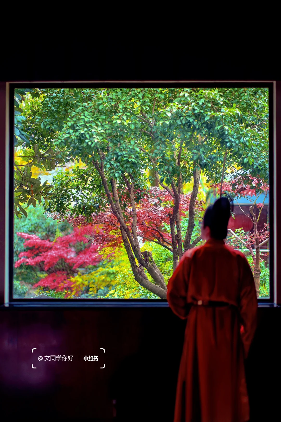 在苏州不止是逛园林🏡还要住进园林！