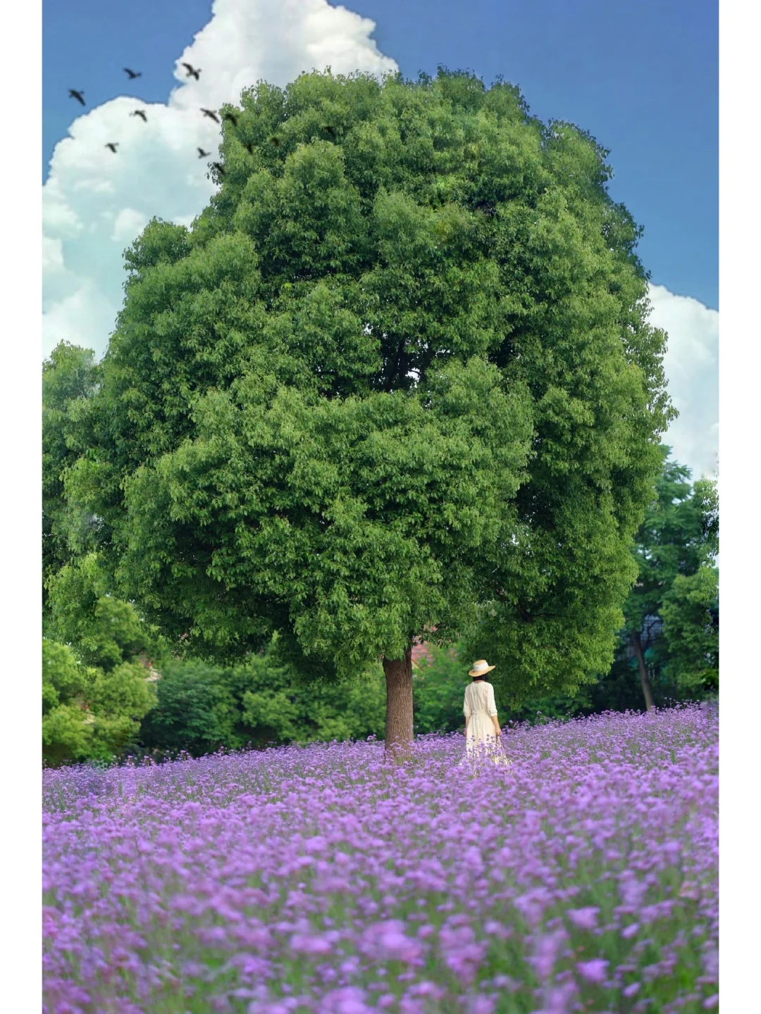 不是国外❗️在武汉找到童话城堡的紫色花海