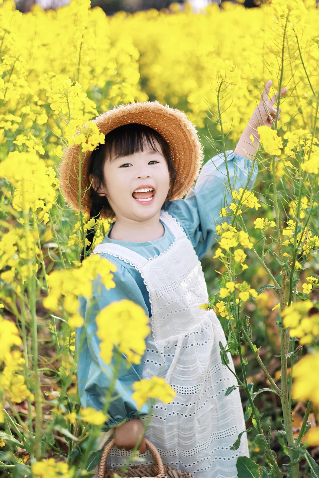 武汉公交直达❗️超大免费油菜花海🌼已盛开