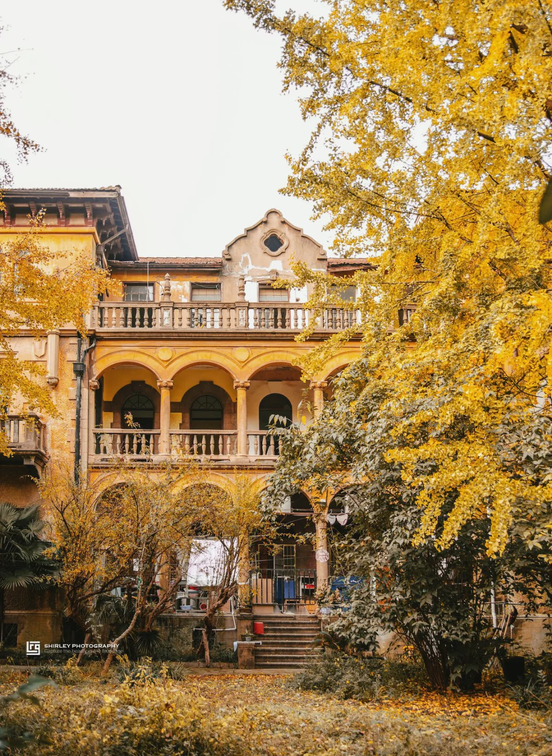 香山路6号｜上海闹市神秘的废墟花园