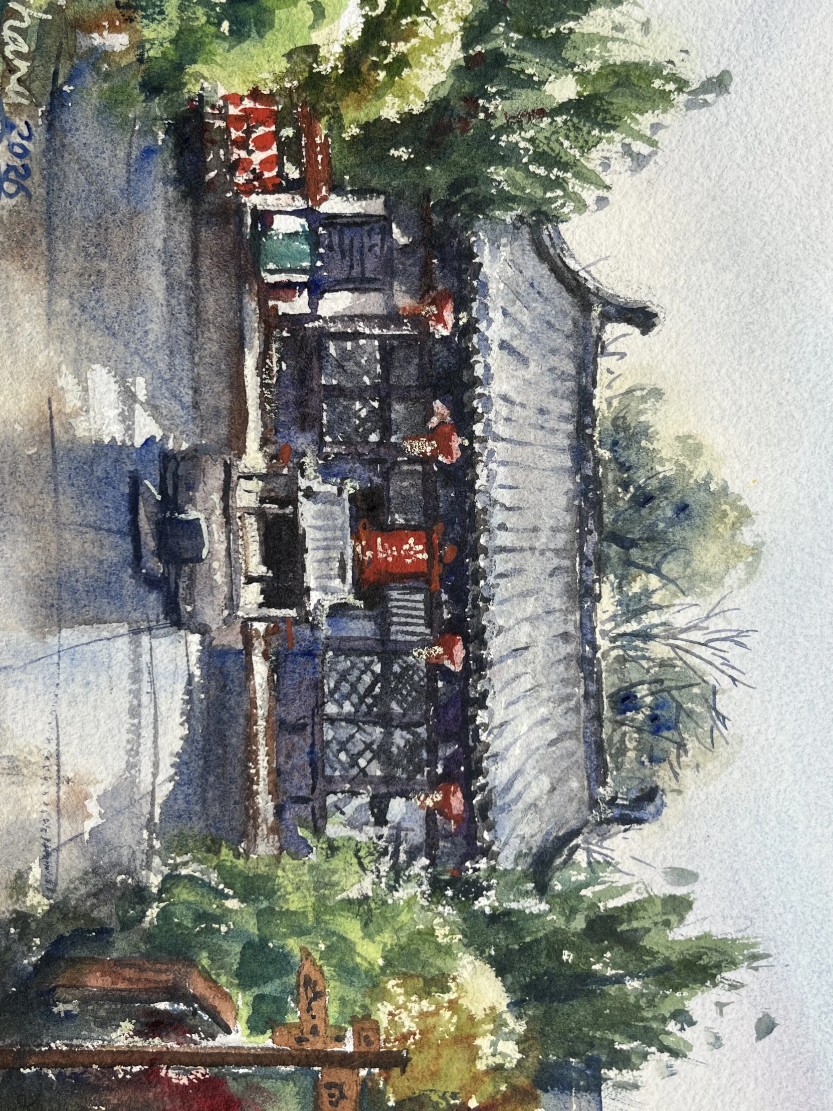 每日划拉