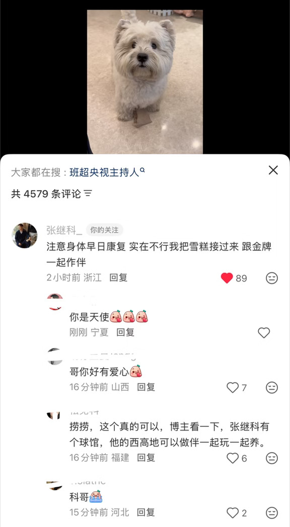 这就是天使。