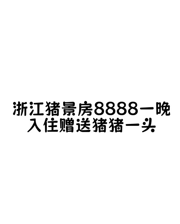 浙江猪景房8888一晚