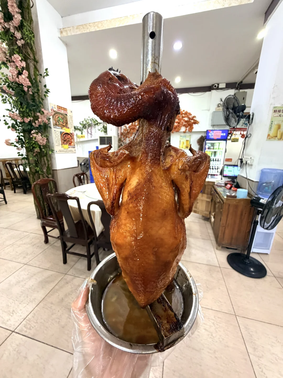 我来顺德就为了这只栋企鸡🐔