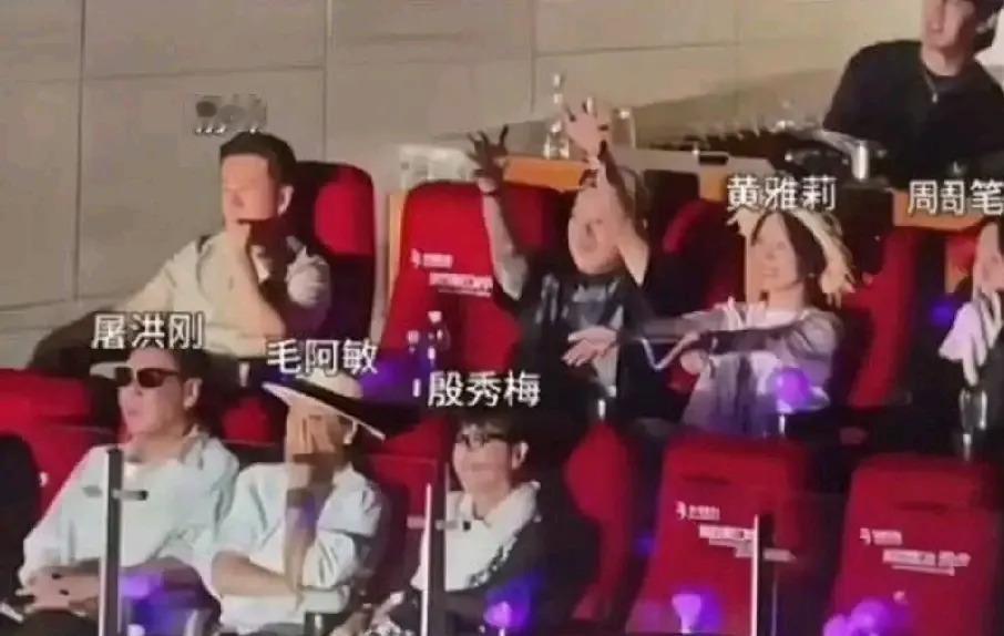 8月22号那英北京演唱会，台下星光比台上歌声还晃眼。王菲包厢里跟唱《相约1998》，肖战空降当嘉宾，宋丹丹、黄渤、张碧晨、龚俊全来了，那英挨个点名寒暄快五分钟，买票进场像误入了娱乐圈团建现场。
那身Robert Wun高定大红披风更抢戏，肩膀两大尖角，正面铠甲转身露背，配个黑色“扫把”发型。歌还没开