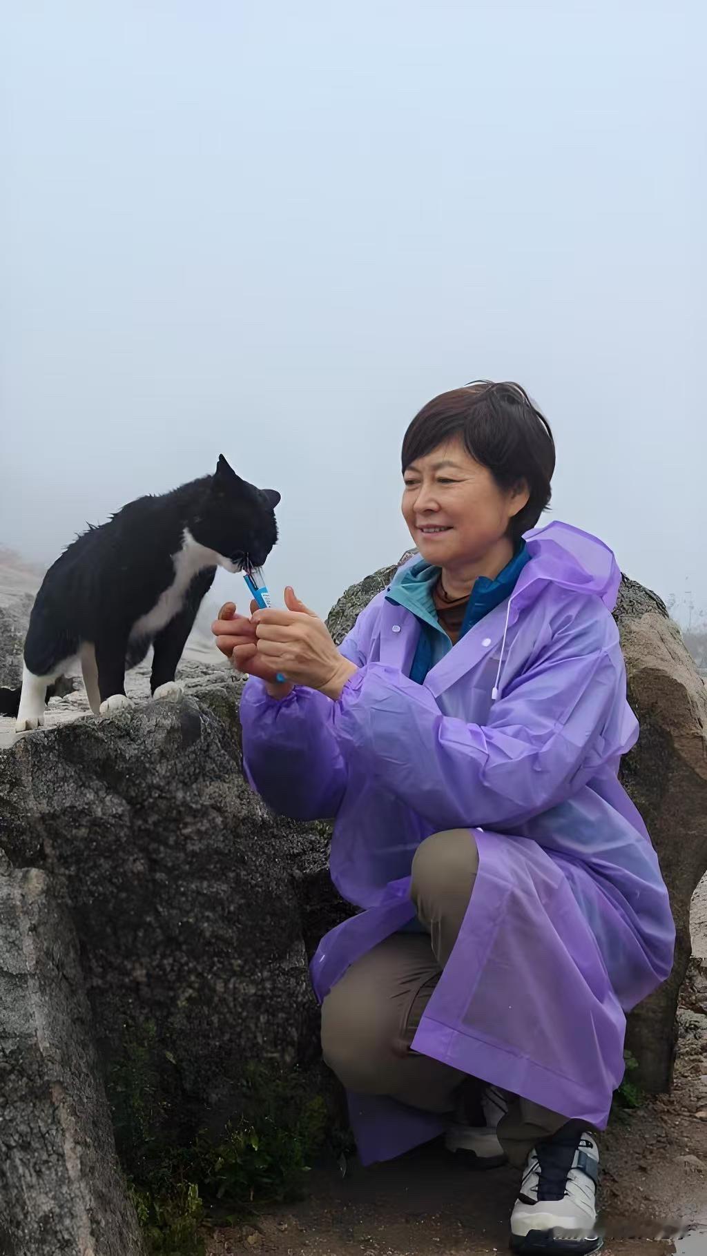 她走了，那个不靠女性魅力立足的人，叫敬一丹 
杨澜曾有一句令人印象很深的评价：敬一丹是不以“媚”取人的。
 
在屏幕上从不刻意释放女性魅力，不靠美貌、姿态、妆容博取好感，不靠温柔的表演赢得偏爱——在美女云集的电视行业，这是一条少有人走的路，敬一丹走了一辈子。
 
我们记忆里的敬大姐，永远素净大方