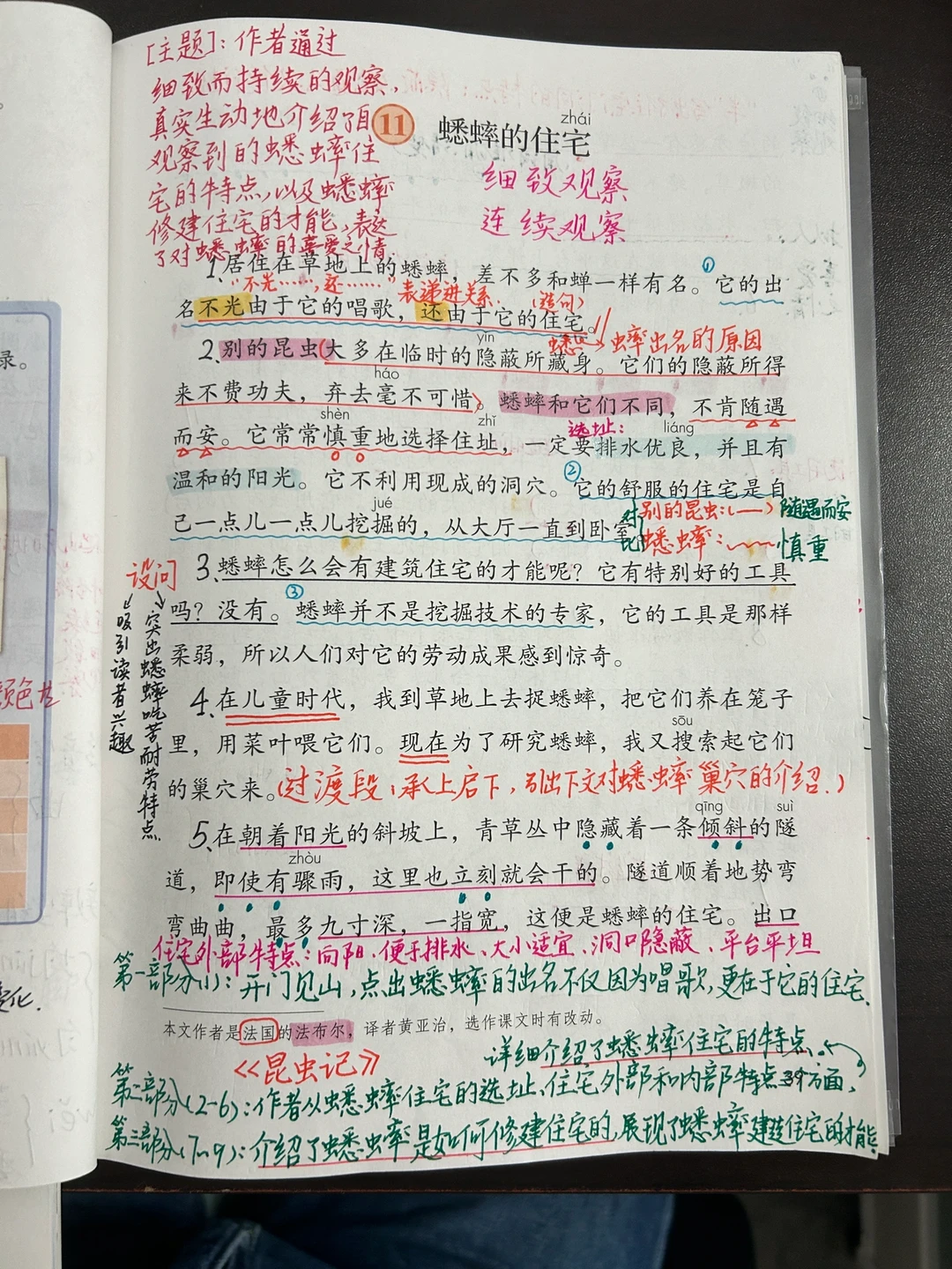 4上备课11.《蟋蟀的住宅》