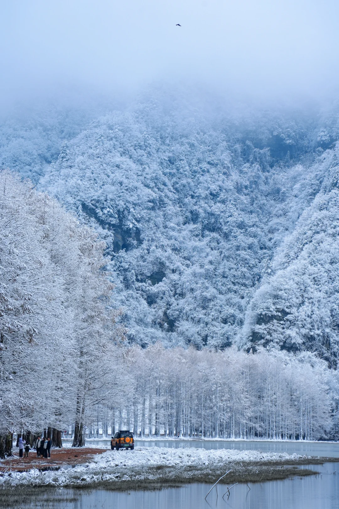 陕西人有自己的大兴安岭……美到失语！！
