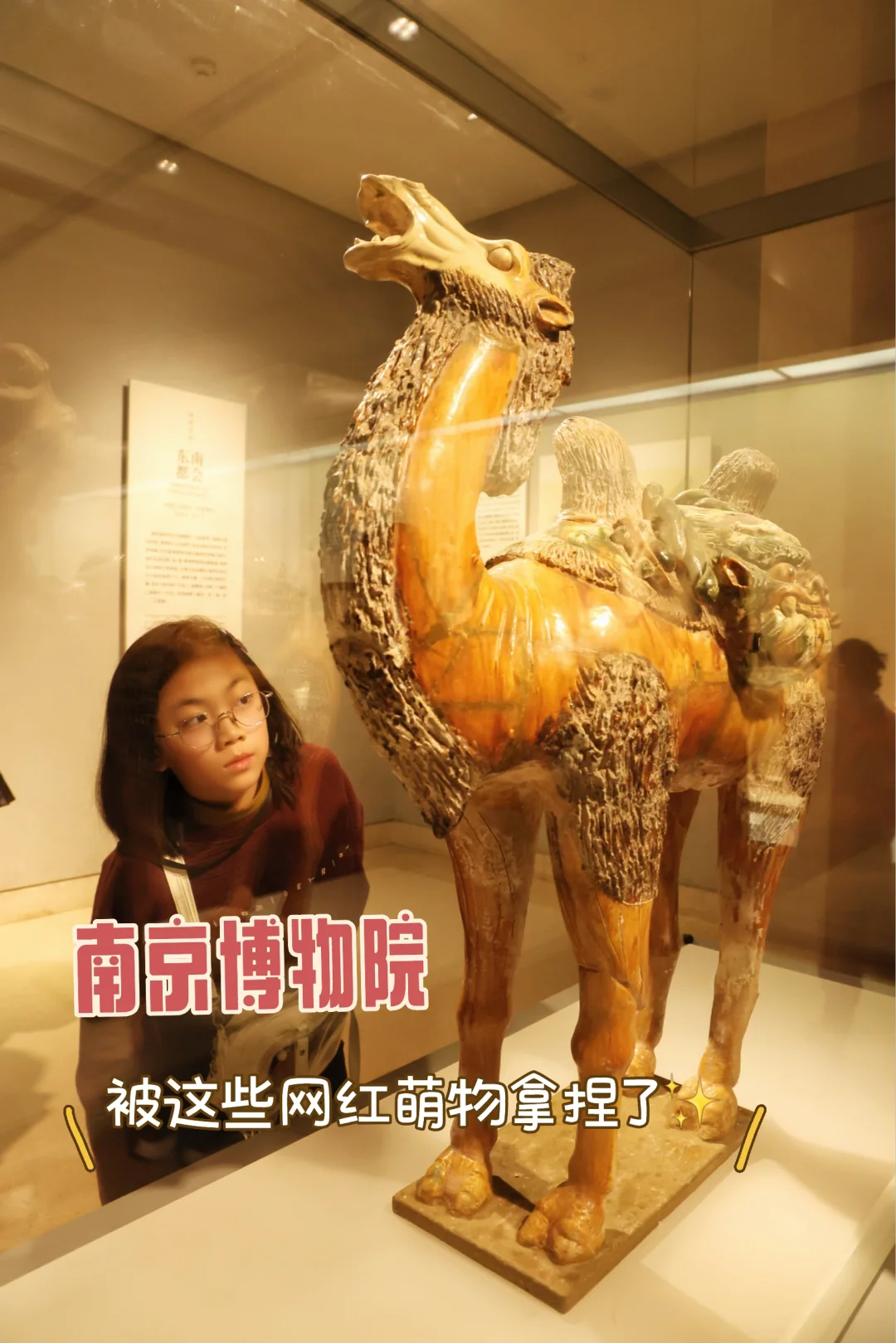 南京博物院｜这些网红萌物拿捏了✨