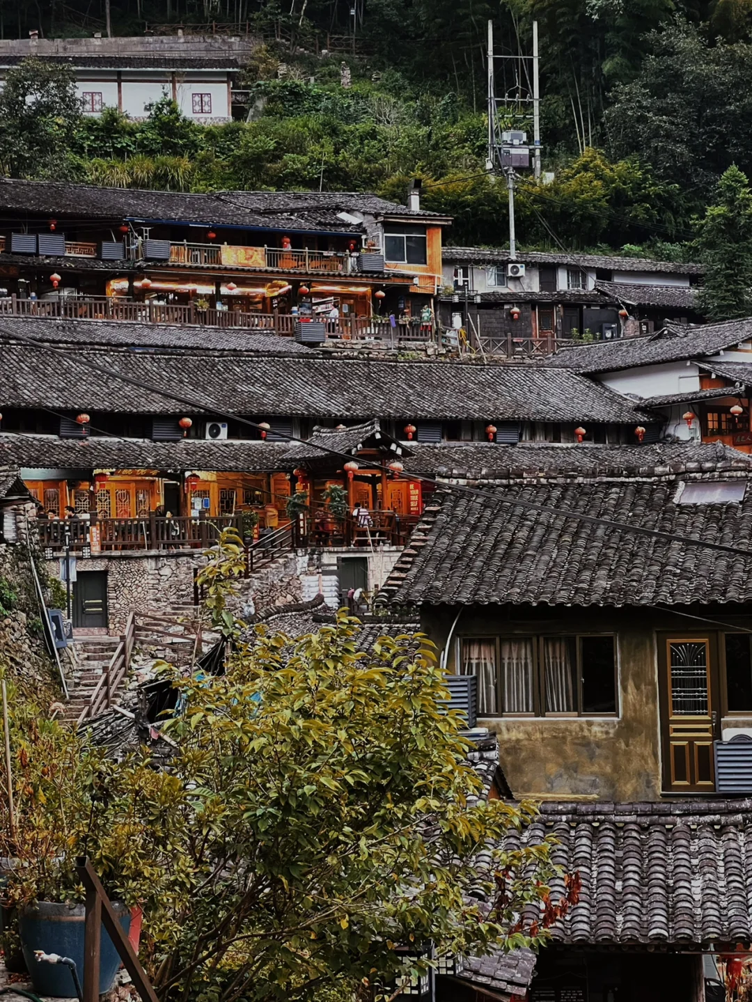 温州｜岭上人家烤全羊你们一般都会去哪家吃