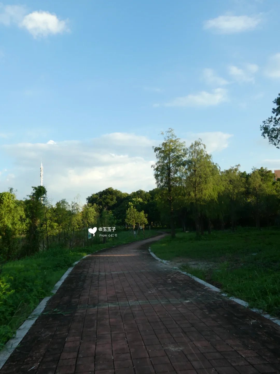 广州人迹罕至的免费湿地公园，可骑行