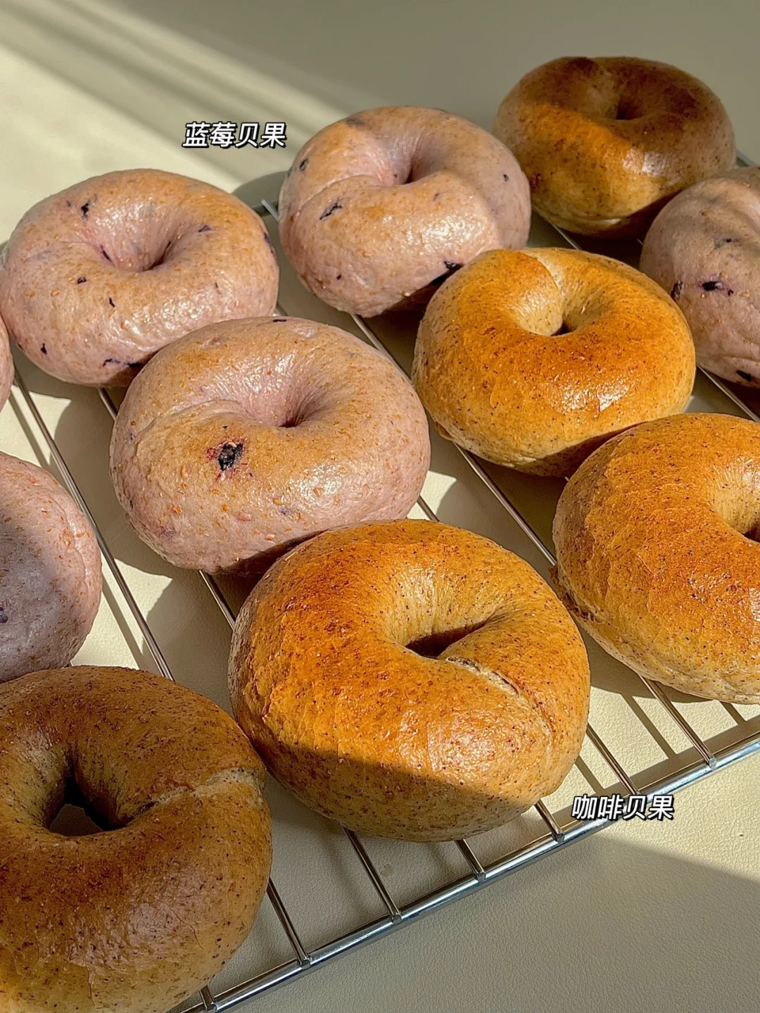 ☀️野生烘焙爱好者的自制贝果｜全麦无油低糖