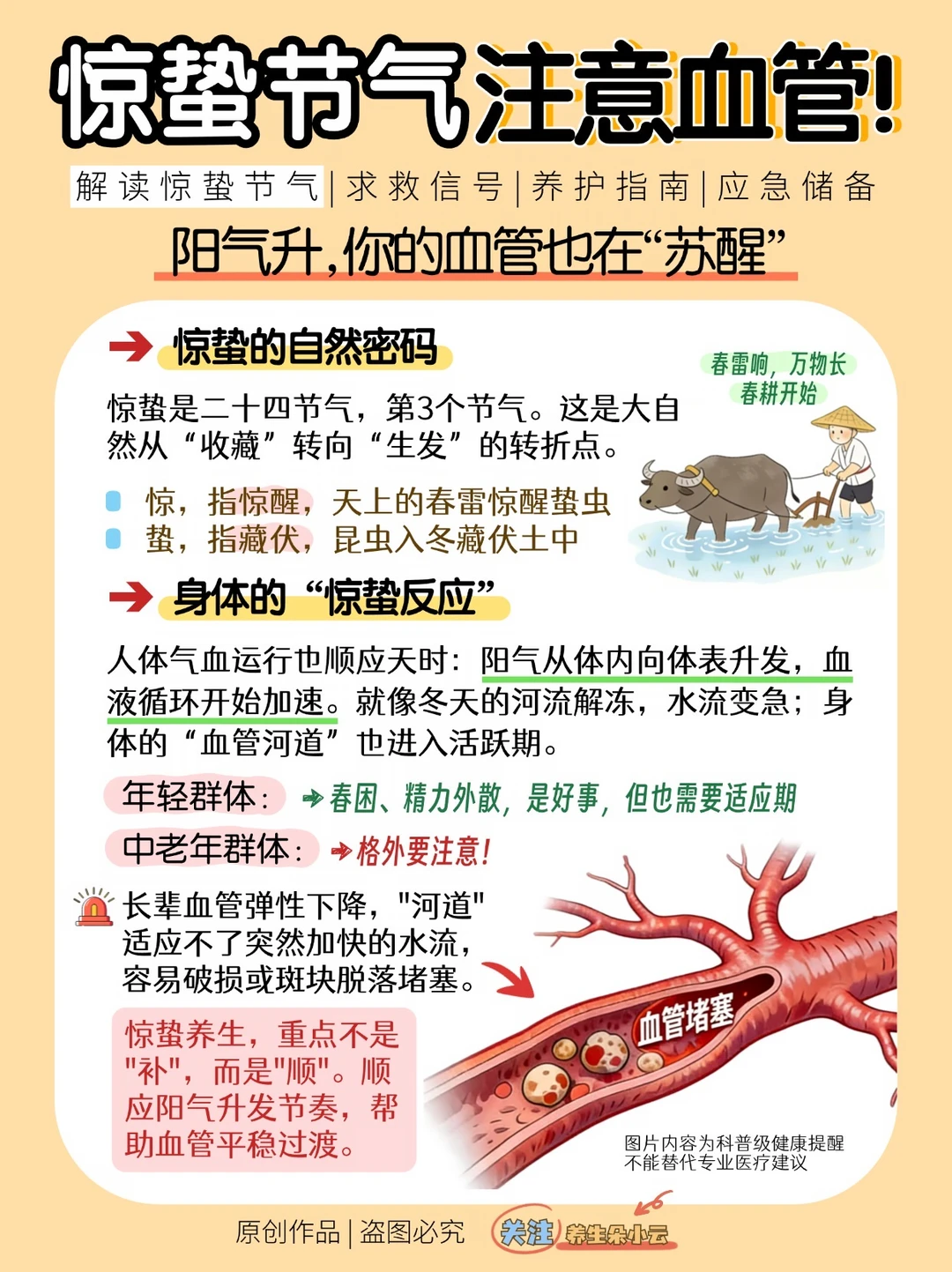 惊蛰护🩸管指南｜🌿老人养春胜进补