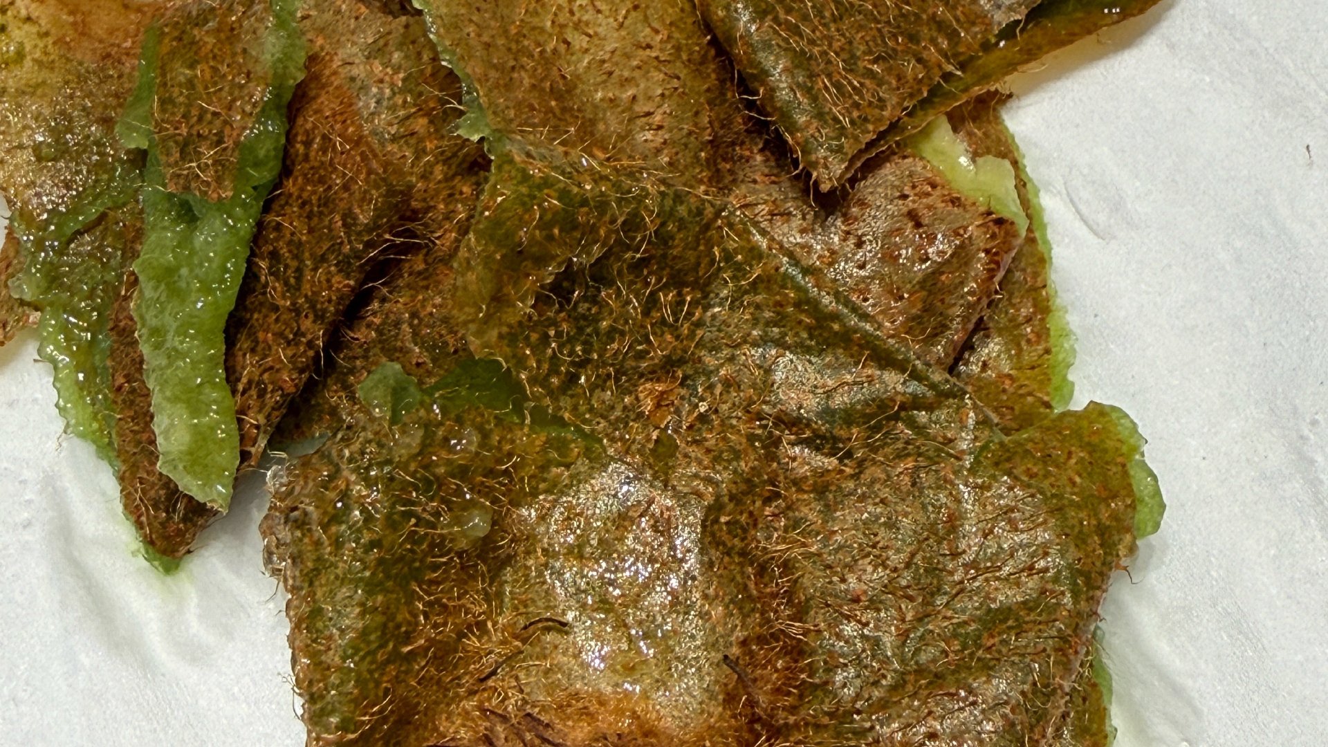 最近吃饭那叫一个简单！
全是预制菜预制粮，哈哈哈 ​