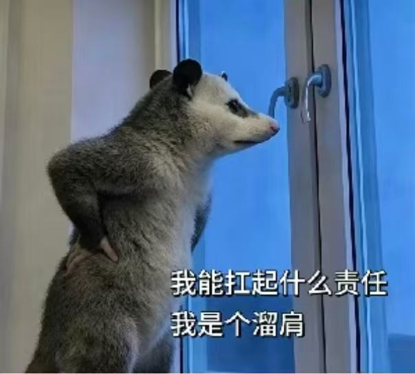 端午后开工第二天又累又困，不吃饭了，我先睡会儿 ​​​