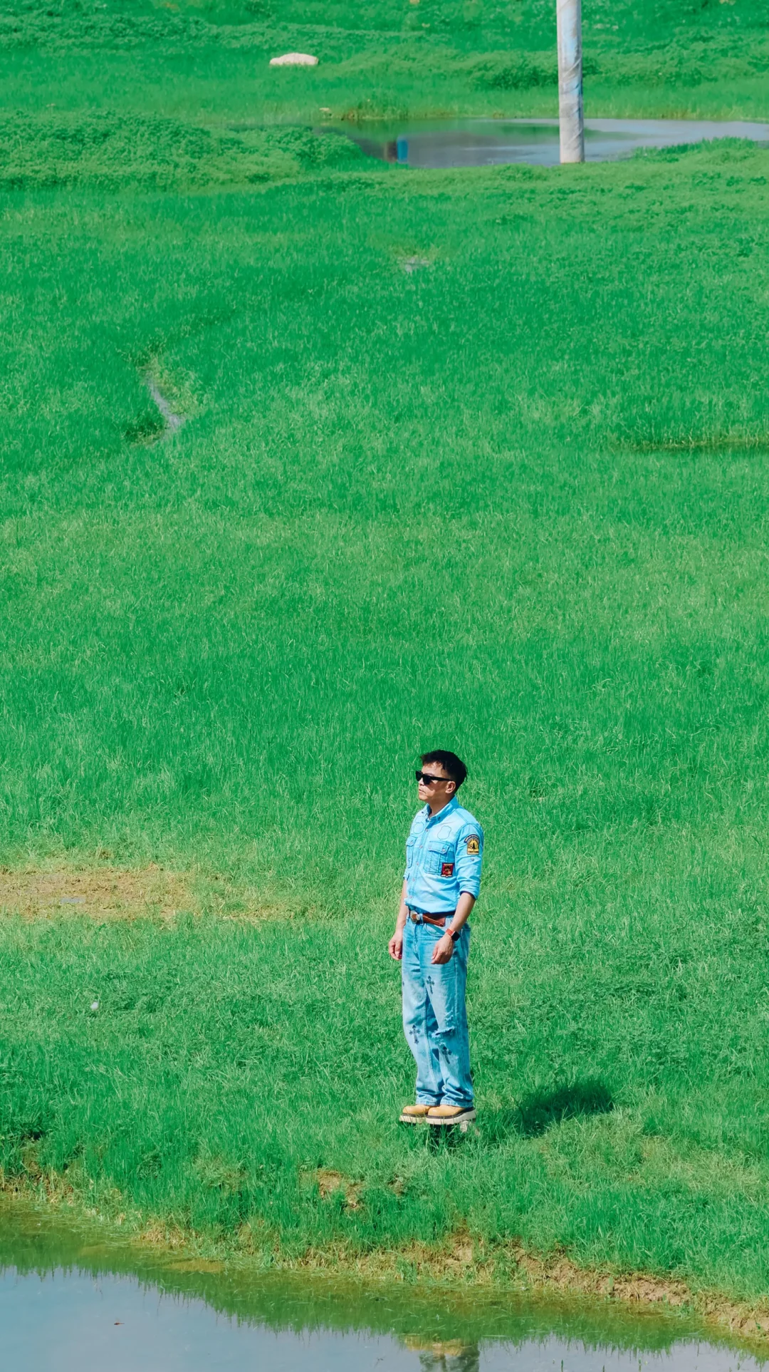 在重庆这野生的草甸充满了治愈的绿色🌈‼️