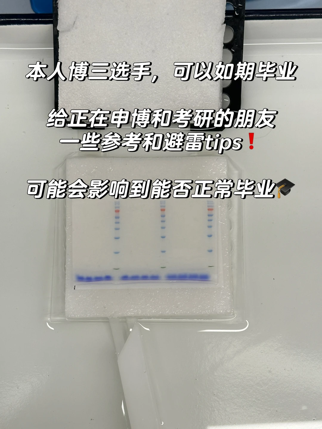 博三，给正在申博和考研的朋友一些参考tips