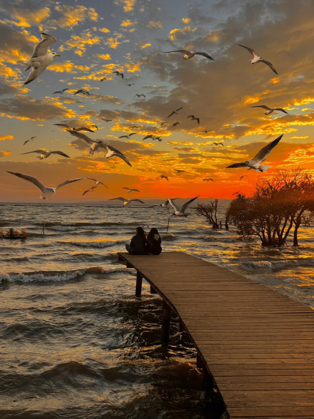 昆明第一天就这么美，后面行程该怎么办！！😭