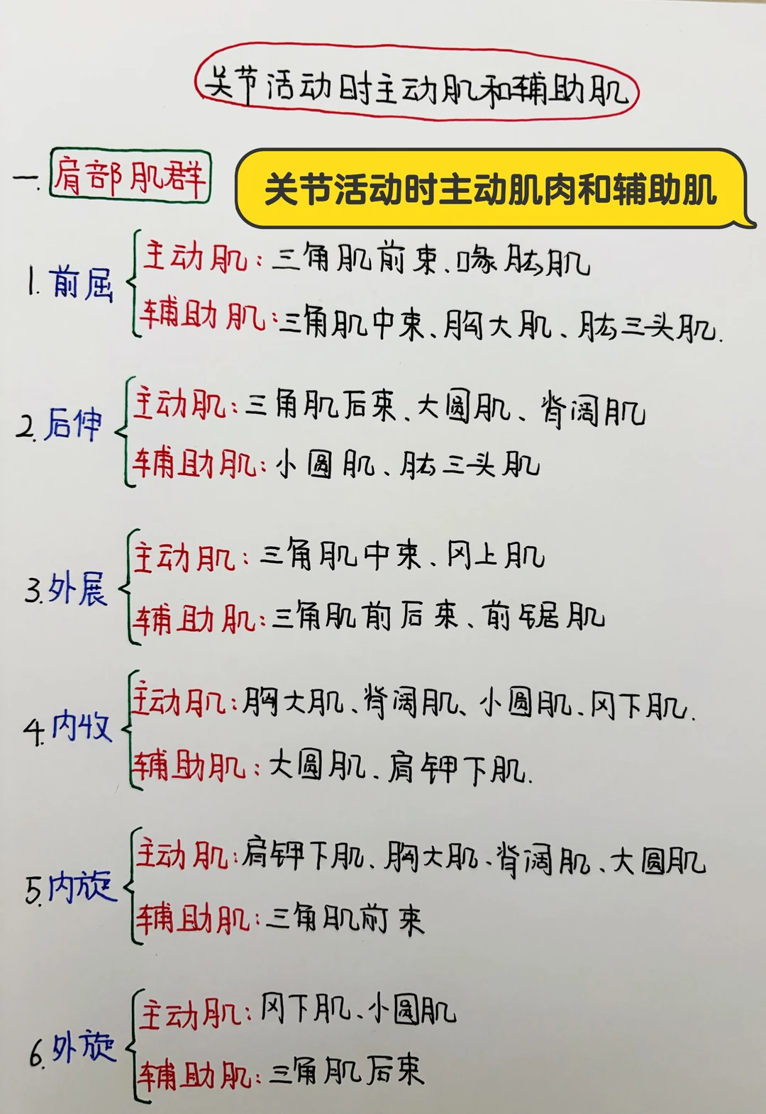 今日学习打卡——关节活动时主动肌和辅助肌