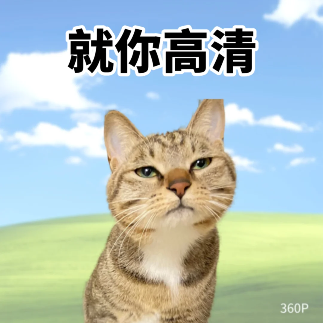 审美鸡肋丨低脂错别字表情包