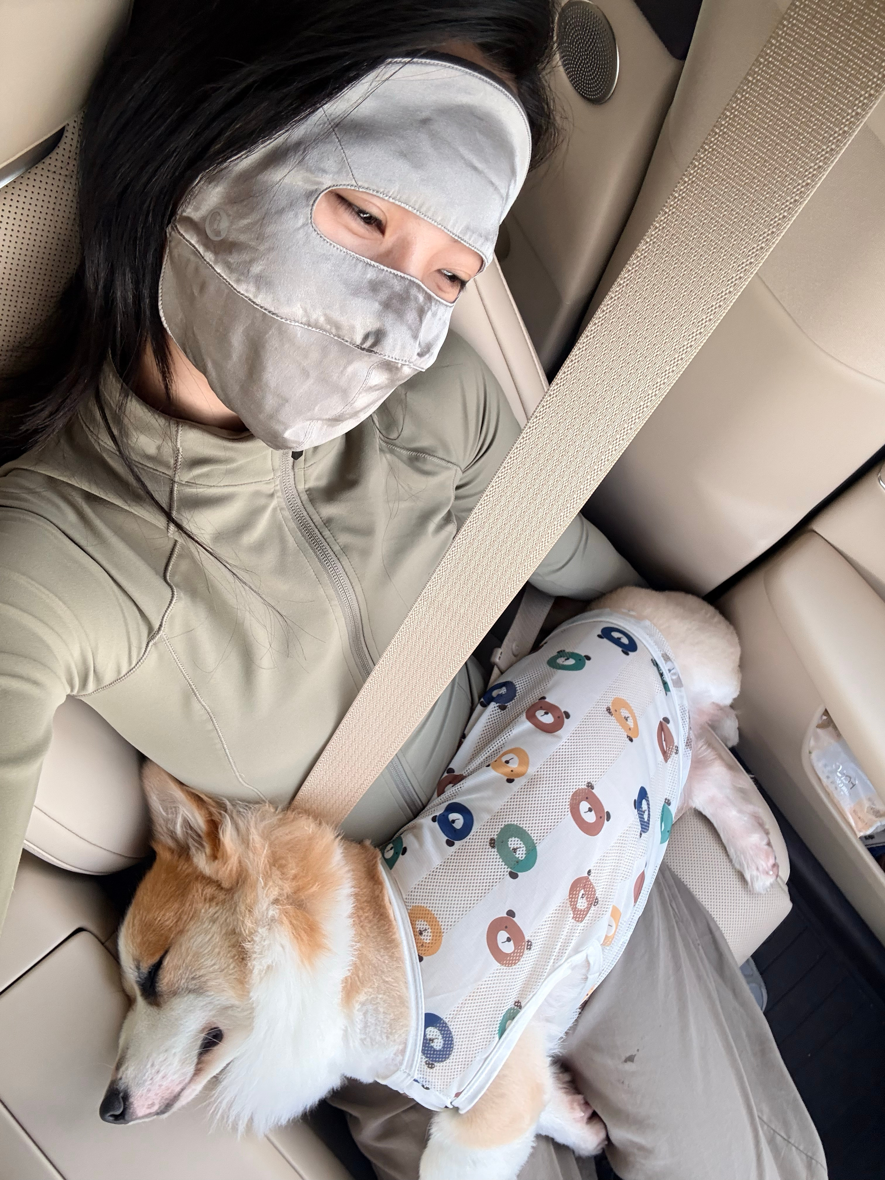 大肉在问界M6上睡得可香，看来是很喜欢这辆车了[哈哈] ​​​