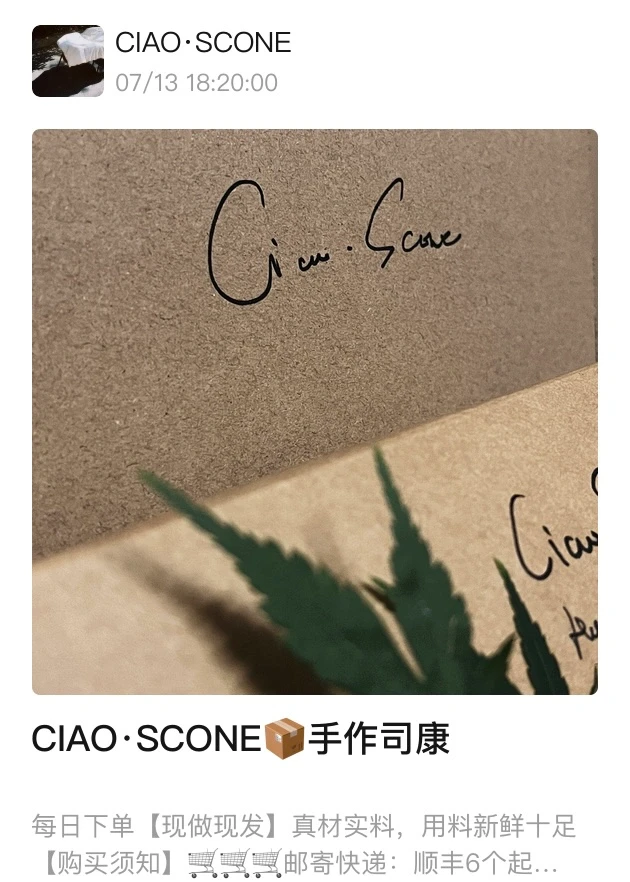 ✈️｜CIAO·SCONE📦part2