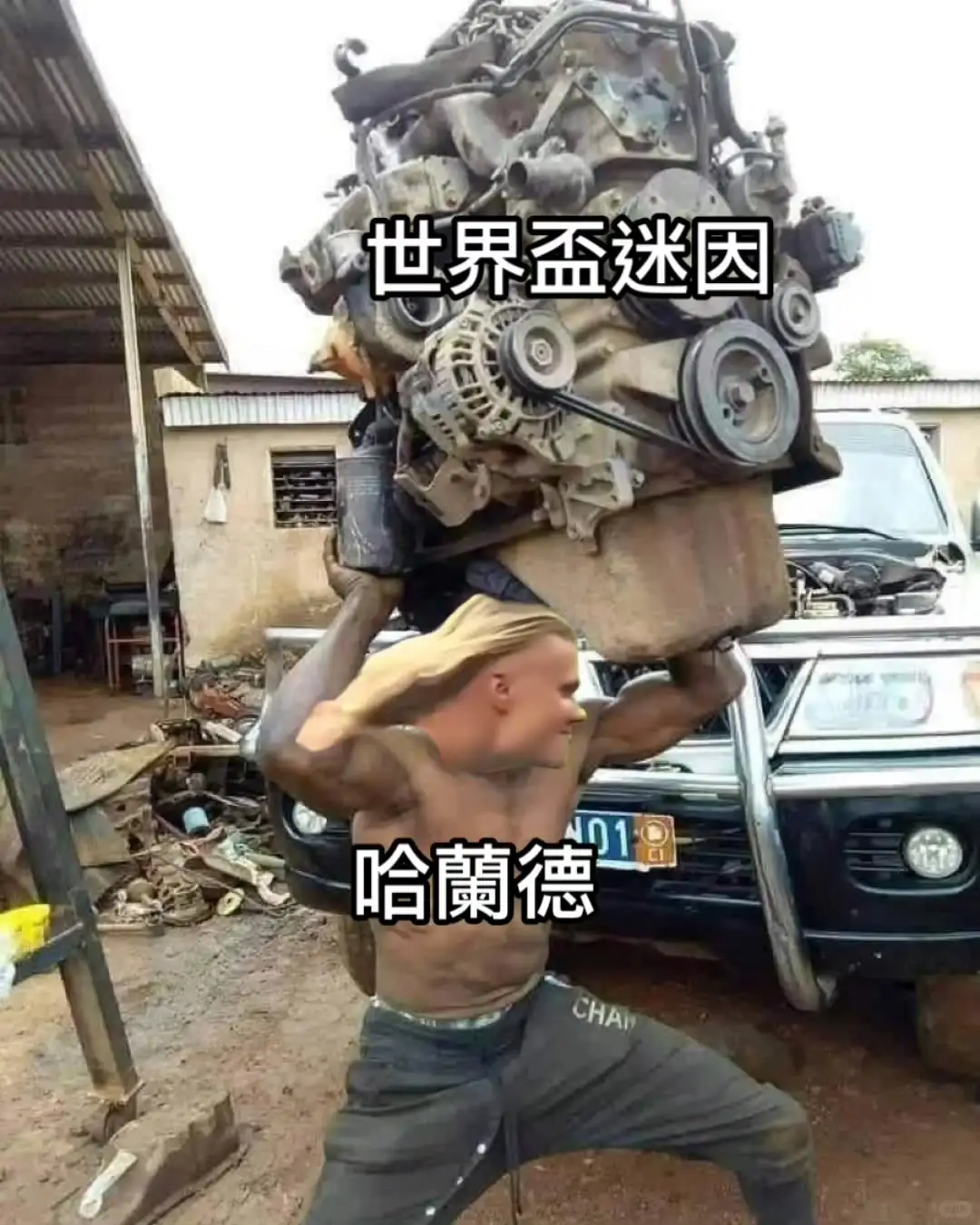 哈兰德meme收集中👀