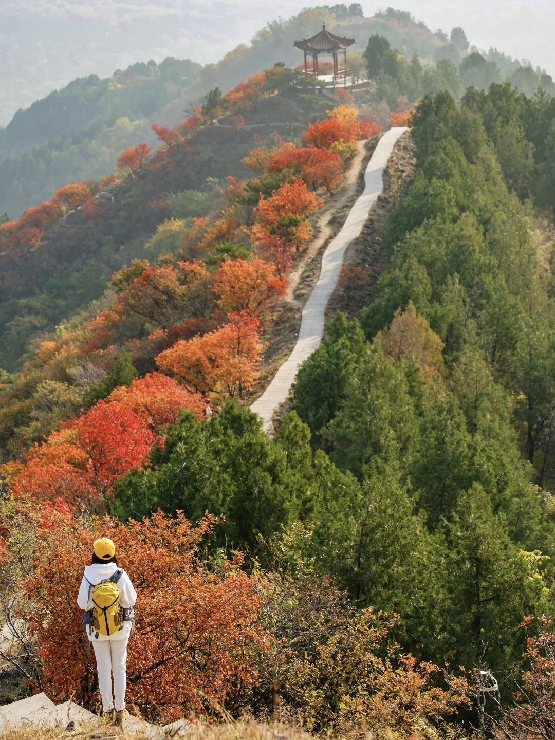 北京赏秋🍂别错过这座半红半绿的山⛰️免费❗️