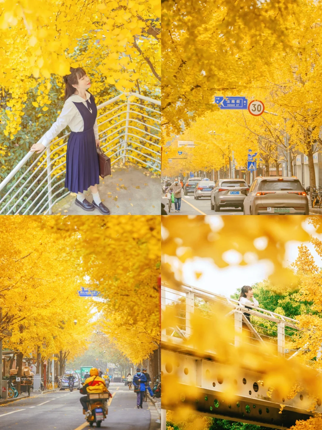 银杏天台&天桥都get✅局门路沿线2公里新攻略