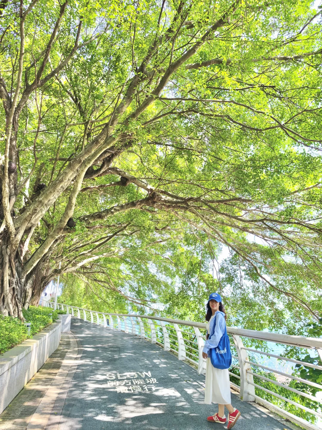 深圳的治愈力，一半藏在海风里