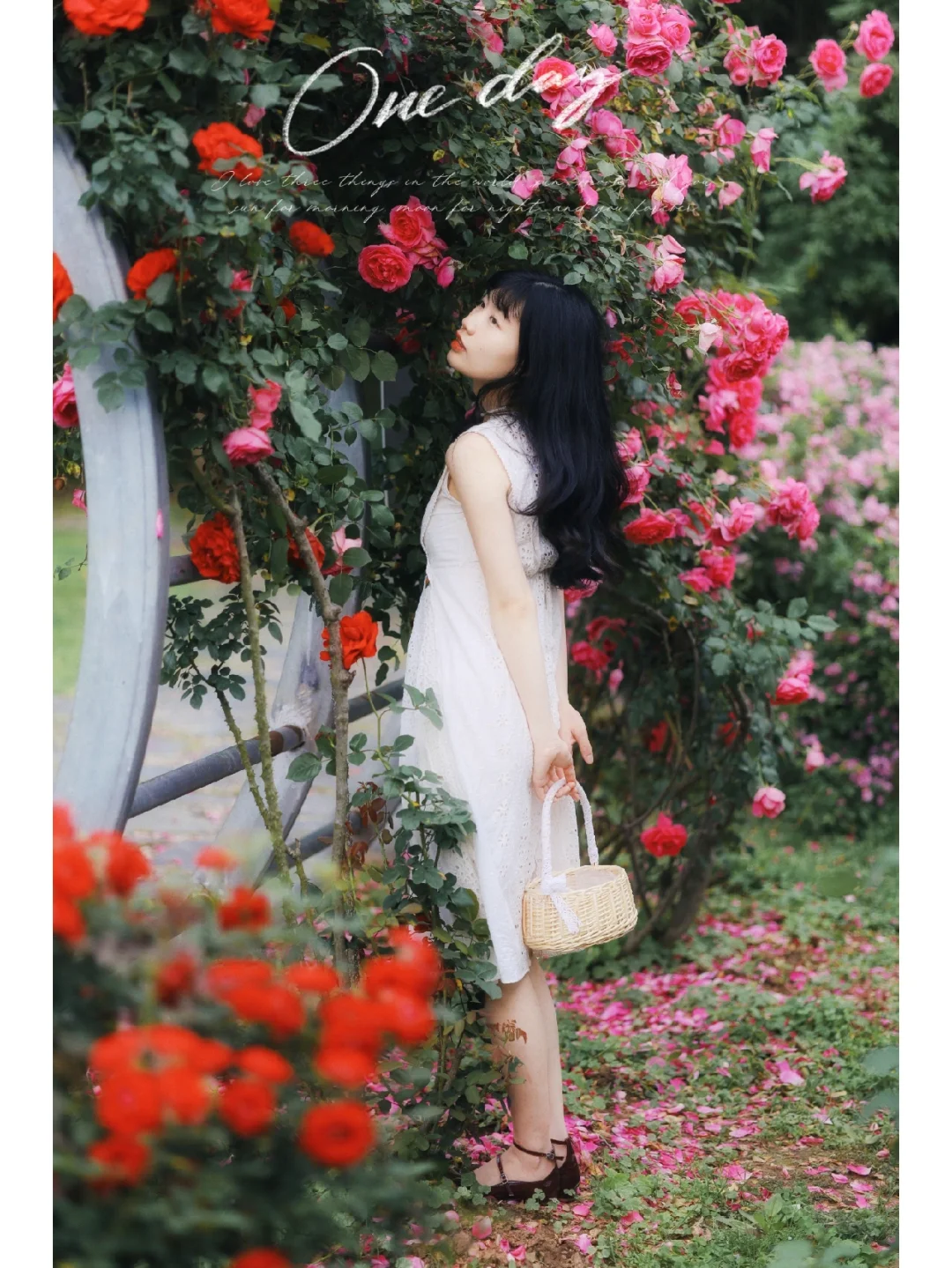 美哭了❗️我在武汉拍到了梦中的莫奈花园