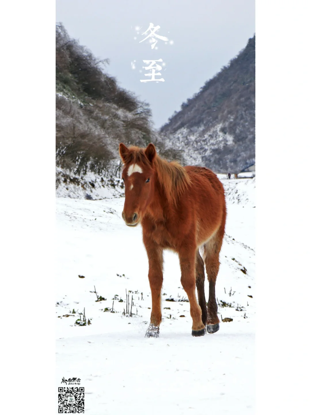 二十四节气 冬至