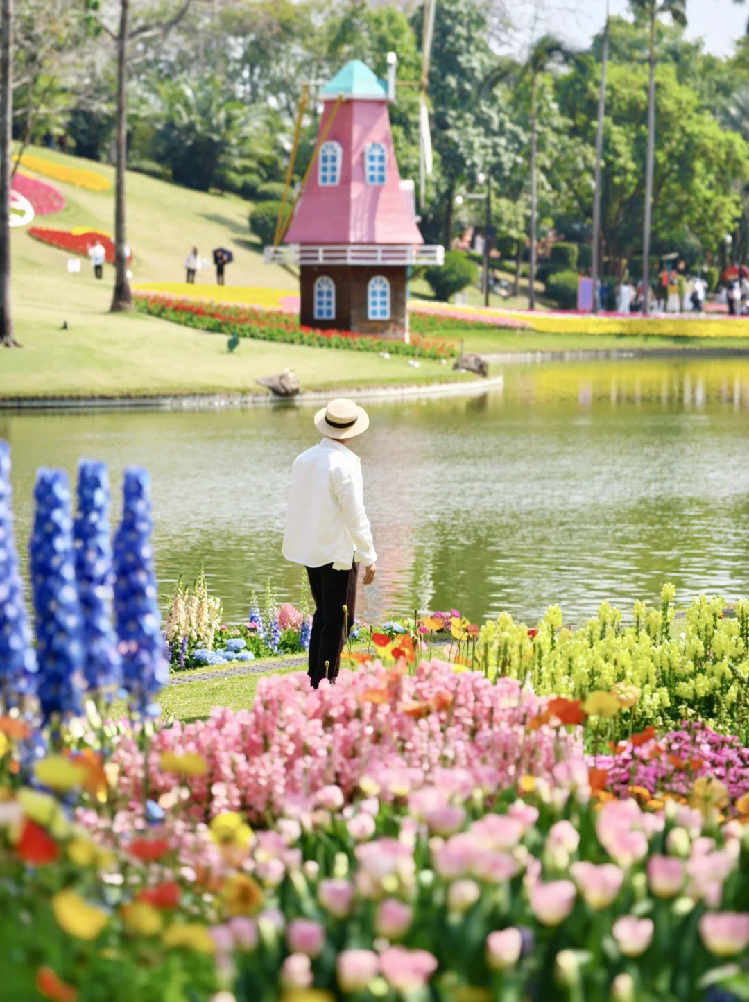 云台花园郁金香🌷美爆啦🤩错过就要等一年❗️