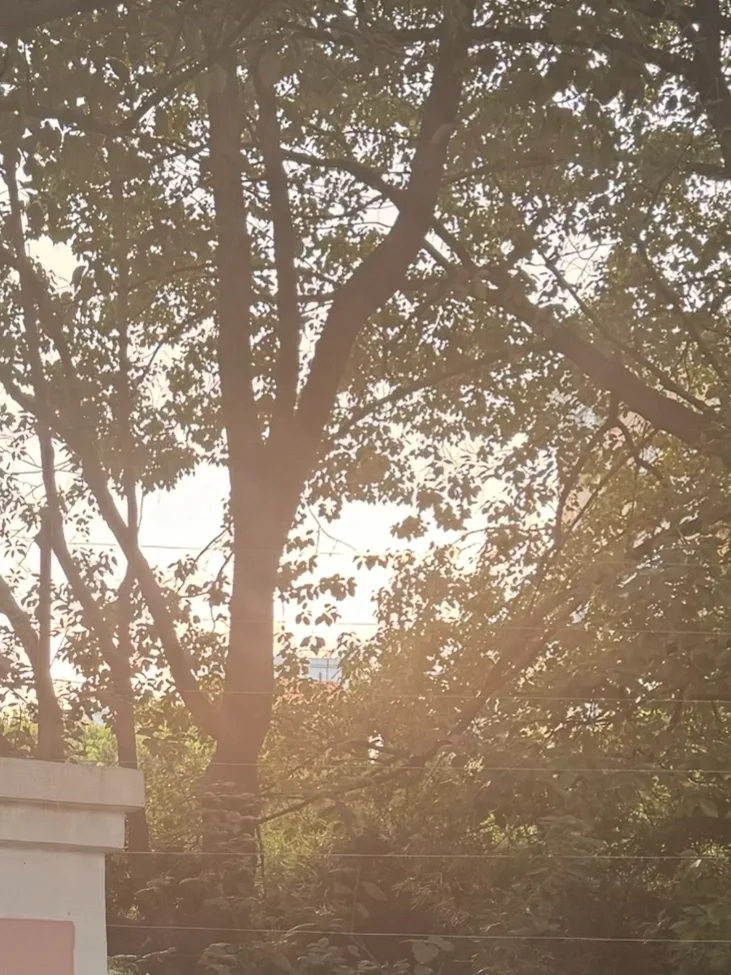 在日常里找回属于自己的节奏