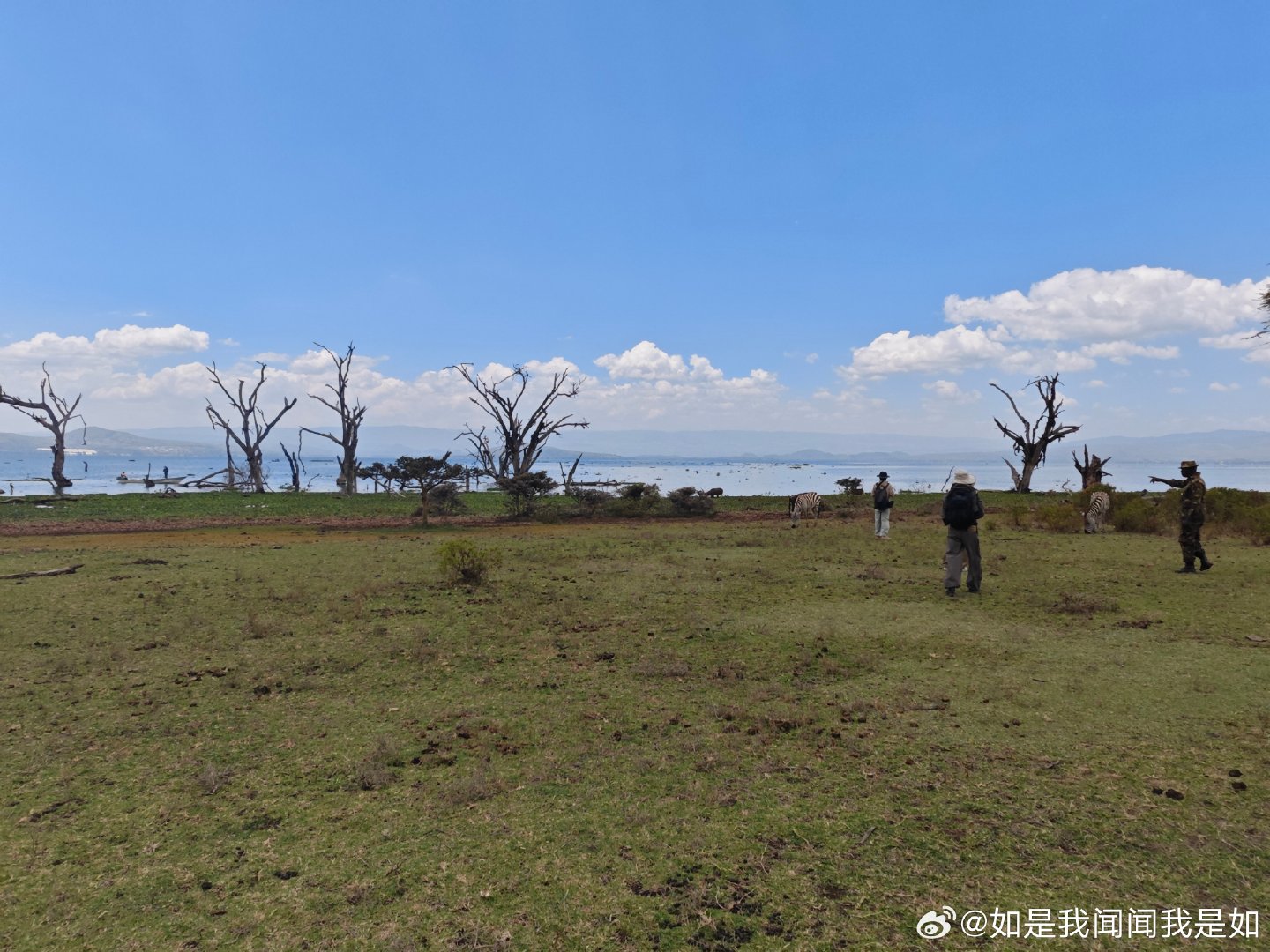 #vivo[超话]##vivo相册里的高光时刻##2026V粉嘉年华#
年初带着vivo X200u和这款小米手机到了非洲看动物看的真的是特别爽啊。
 但是我这款小米手机主要是起副的作用了。
vivo X200U，加上增倍镜，真的是太猛了。 ​