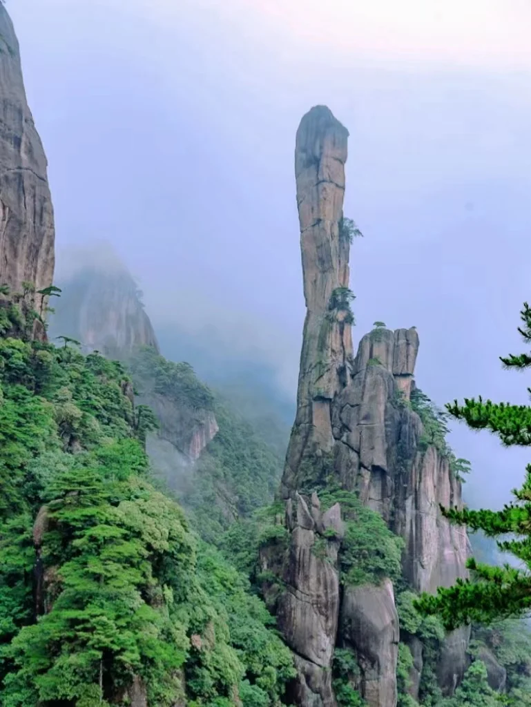 约个搭子去爬山，看世界遗产，赏高山杜鹃