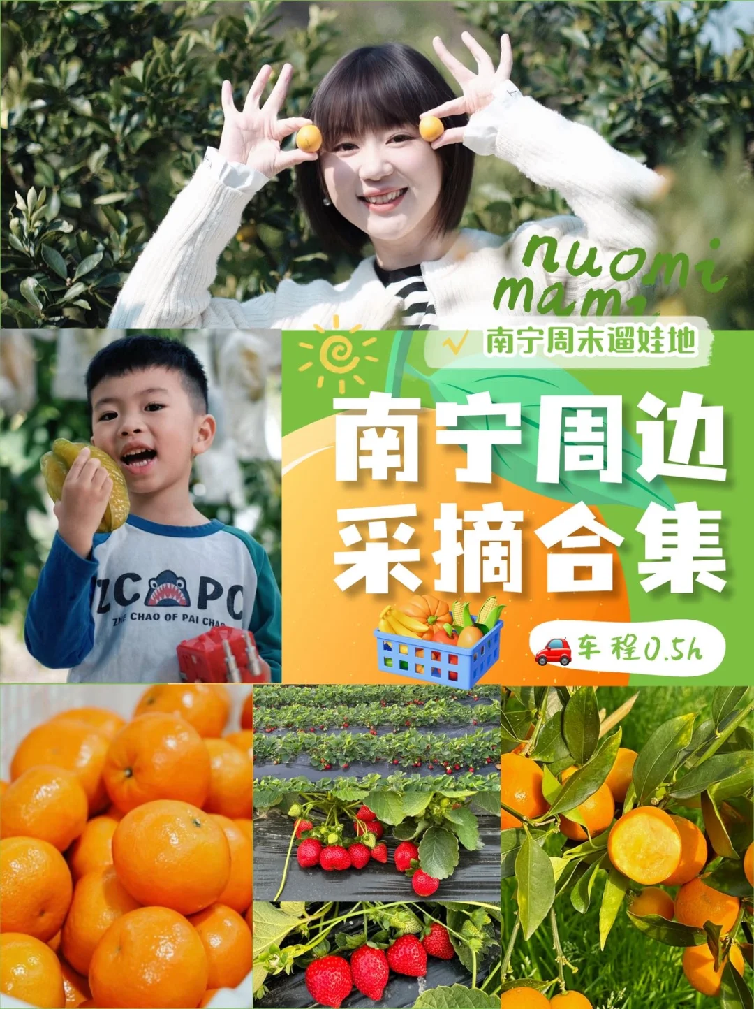 周末遛娃地分享｜附南宁4个宝藏采摘路线🍊