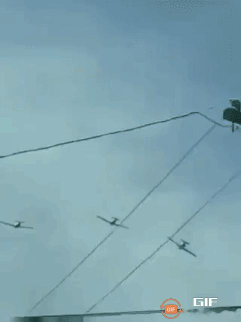 突发！菲律宾遭遇惨烈空难，两架飞机空中猛烈相撞解体，南海持续挑衅之下，军备短板带来的隐患持续暴露！

先把事实摆清楚。10 月 23 日下午 3 点 51 分，吕宋岛八打雁省利帕市费尔南多空军基地附近空域，两架 SF-260 教练机在训练中相撞、空中解体，机上四名飞行员无一幸存。

菲空军次日宣布停
