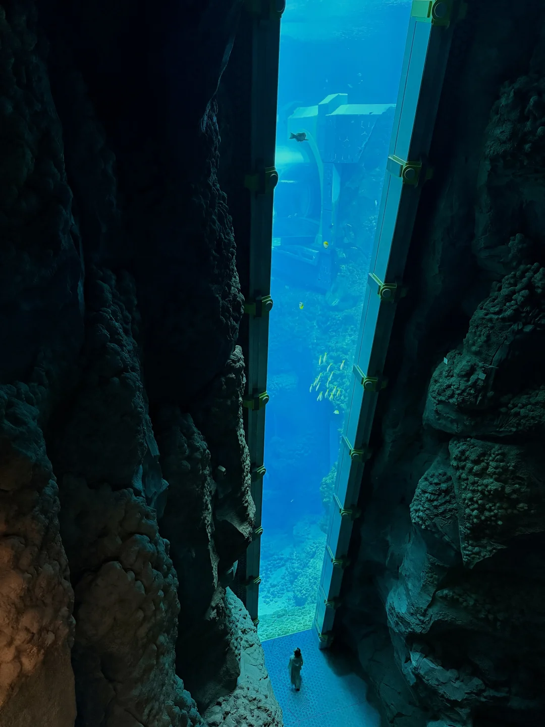 推荐一个神奇又震撼的免签国！🇦🇪