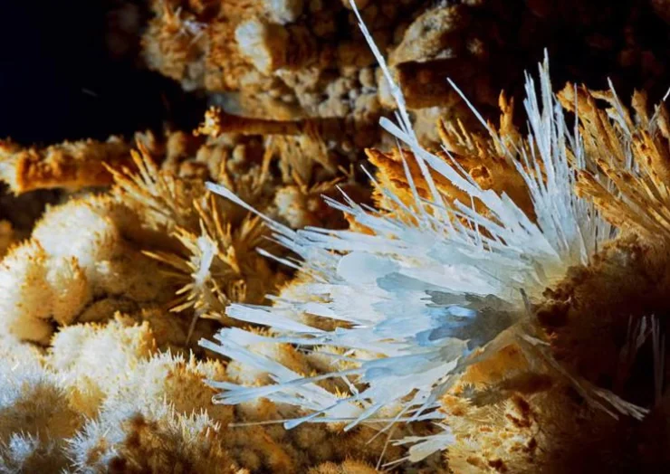 难得一见的洞穴奇景——石花