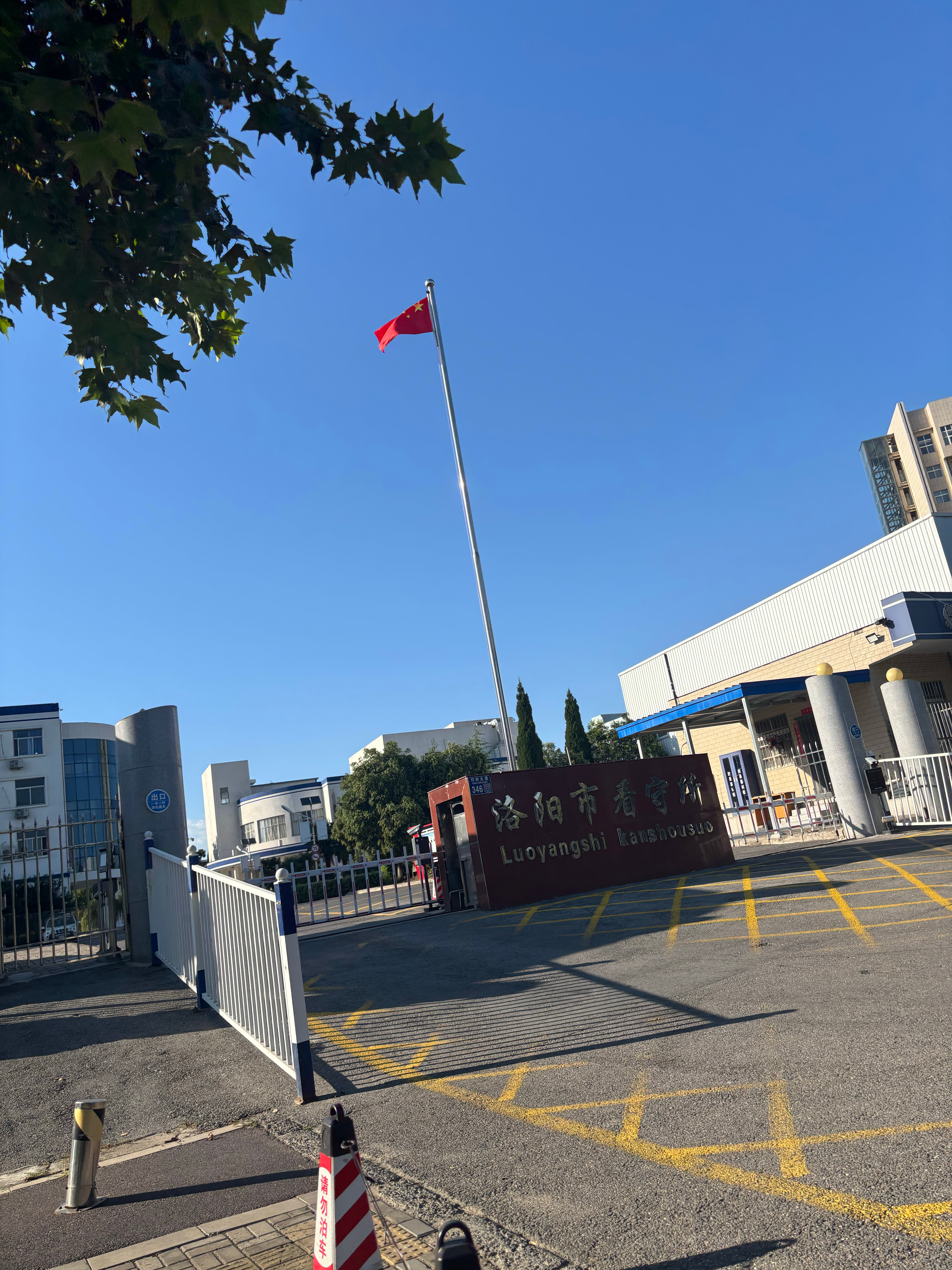 尽全力办案[太阳] ​​​