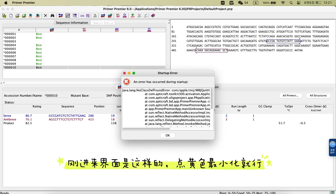 Real Time PCR primer设计