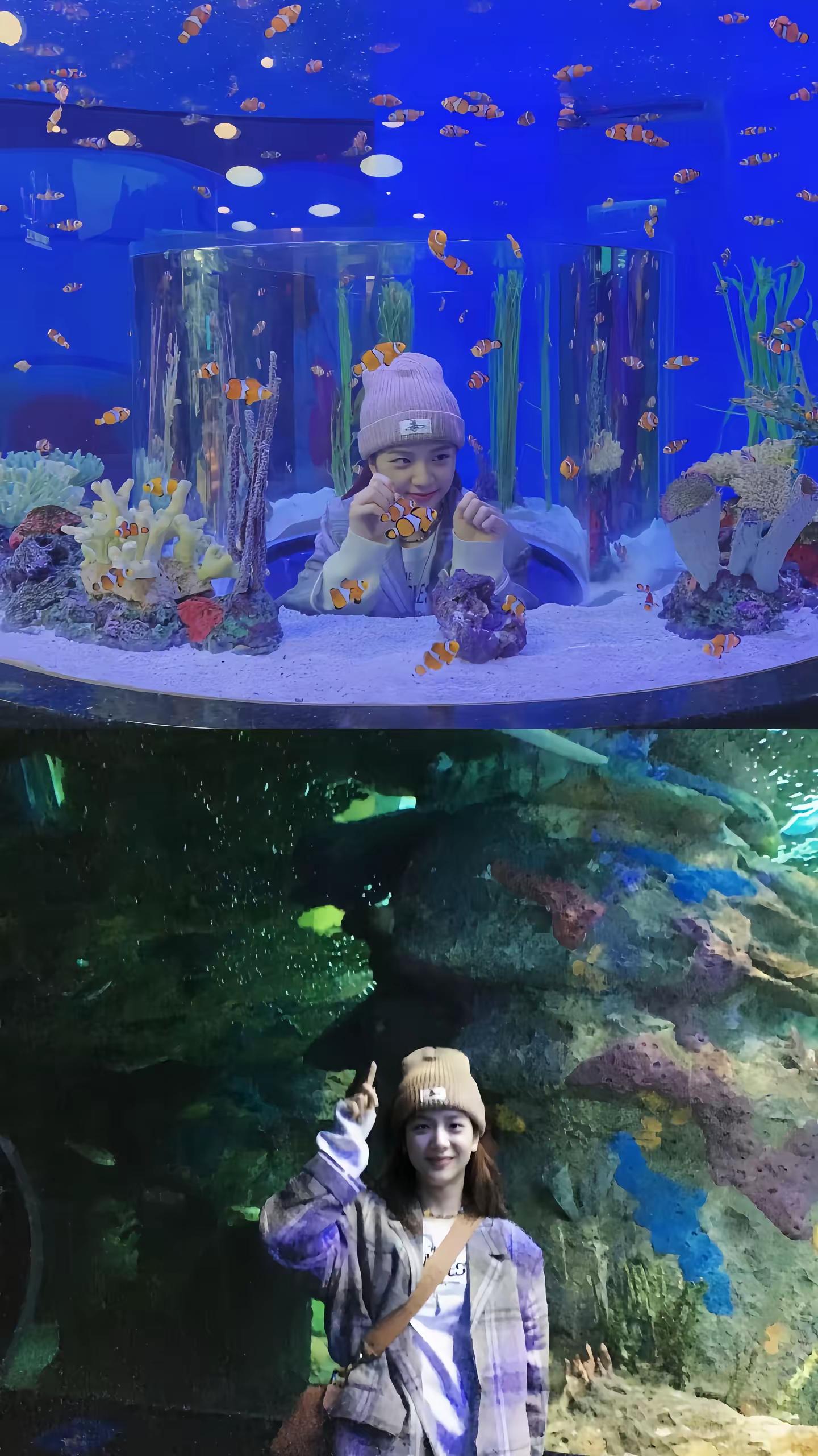 海底世界。金智秀 金智秀jisoo