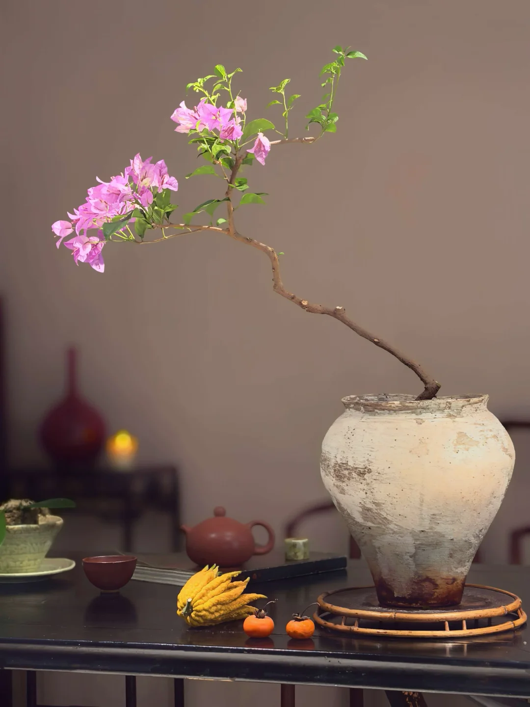 “没有一朵花从一开始就是花”