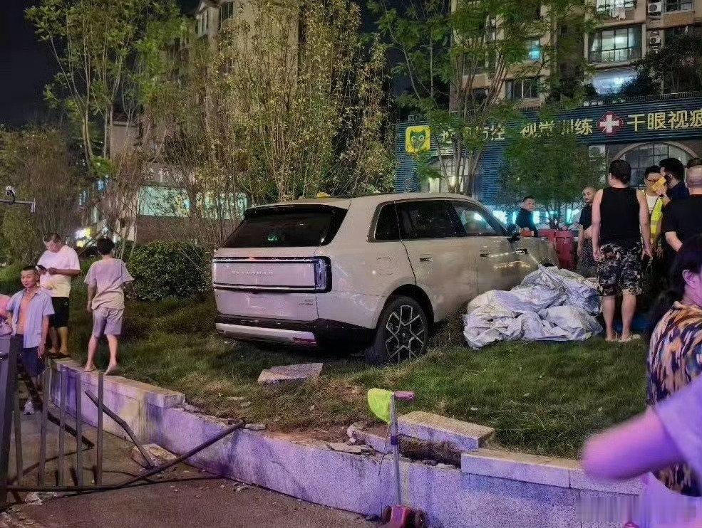 这都能上去
看来越野能力挺强
有些代驾司机还出交通事故呢
这类普通事故
每天不知道全国有多少起 ​
