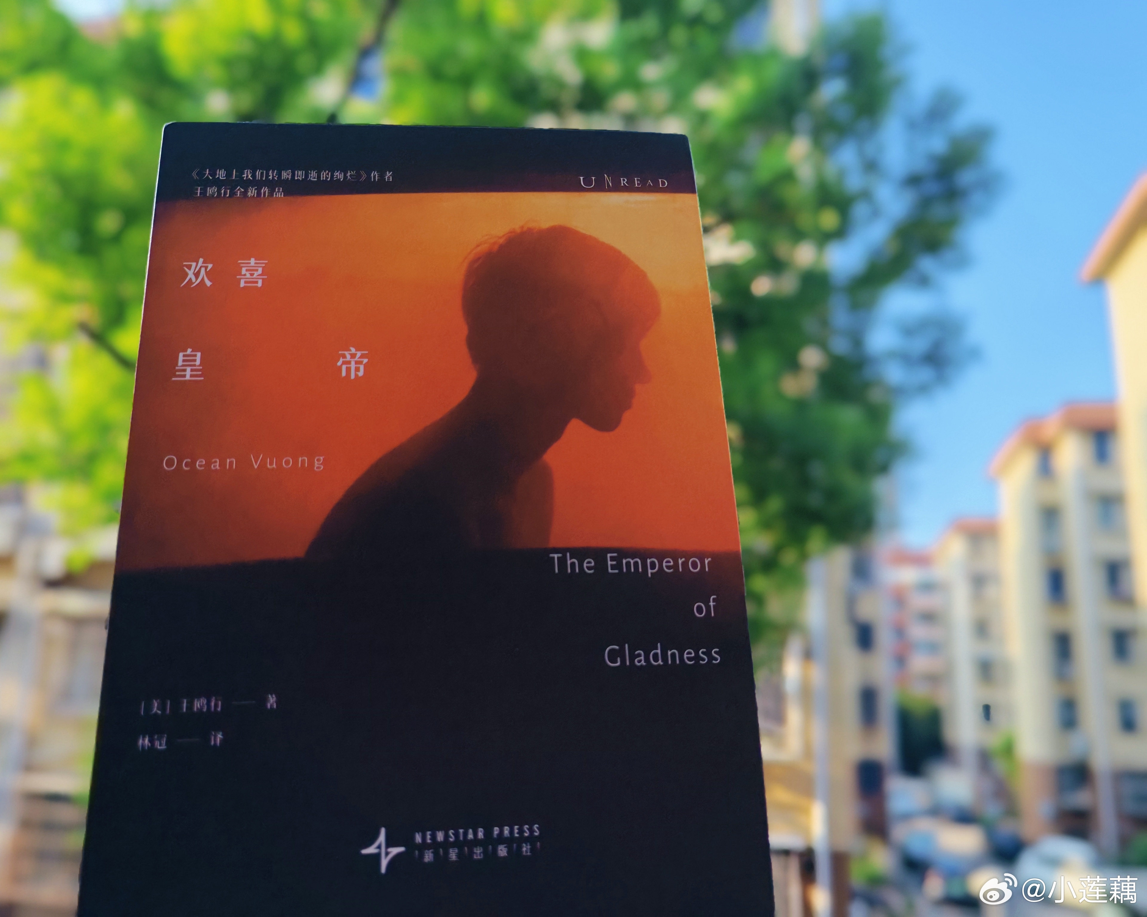 #2026年手边书#《欢喜皇帝》
第一次读到王鸥行的书，跟着主人公海从在东欢喜镇2009年走到2010年。

顺着海的目光，看见了那儿的风景，也认识他身边的人，从越南移民过来的外婆、妈妈、金姨妈，表弟索尼，全家超市的伙伴们，最重要的还有救下她并彼此相依生活一年的立陶宛女士格拉齐娜。

他们彼此各有 ​