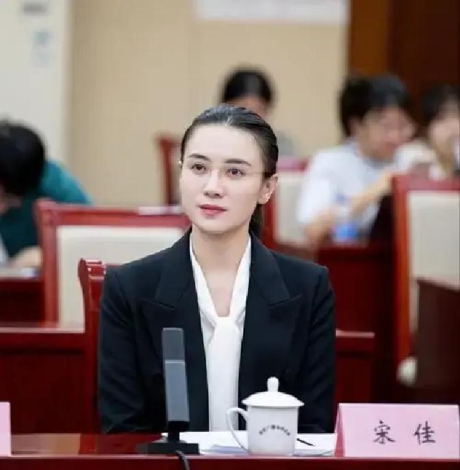 同为政协委员，张译还是张译，宋佳却已不是宋佳了。你看宋佳，一身黑西装，头发利落盘起，架着一副细框眼镜，眼神里没了一丝女明星的“媚”，取而代之的是一种浸入骨髓的“沉”。
 
会议间隙，张译端着保温杯走过来，在她旁边空位坐下。“还习惯吗？”他声音不高。
 
宋佳从手里的材料上抬起眼，笑了一下。“跟组里等