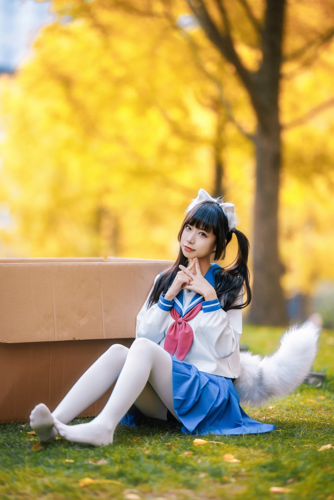 银杏与JK丨小猫拍了拍你并留下了一串脚印🐾