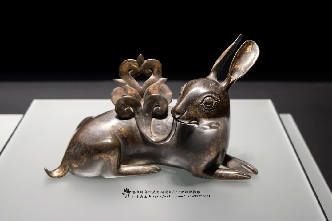 多么好看的镜架